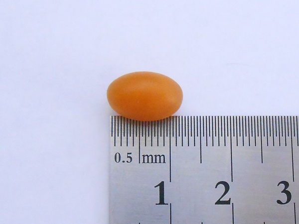 てまひま堂のにんにく卵黄229-55のサイズ